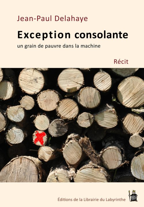Exception consolante [épuisé, disponible en édition de poche]